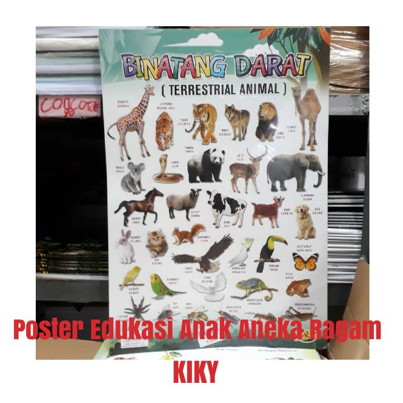 

Poster Edukasi Anak Kiky Huruf, Angka, dan Alam