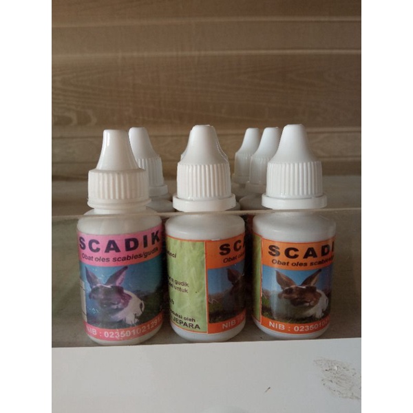 scadik oles/obat oles scebies/obat oles gudik