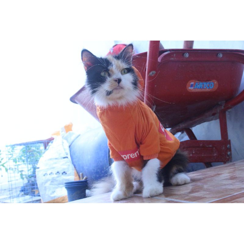 Kaos hoodie supreme kode #001 lucu untuk kucing &amp; anjing / baju jersey bola size S-XL