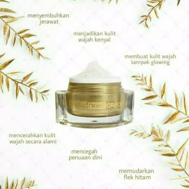 B Erl Intense Lightening Night Cream - Krim Malam - Pencerah &amp; Pemutih Wajah / penghilang komedo