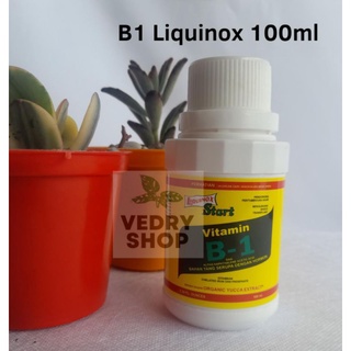 Pupuk Vitamin B1 Tanaman Liquinox