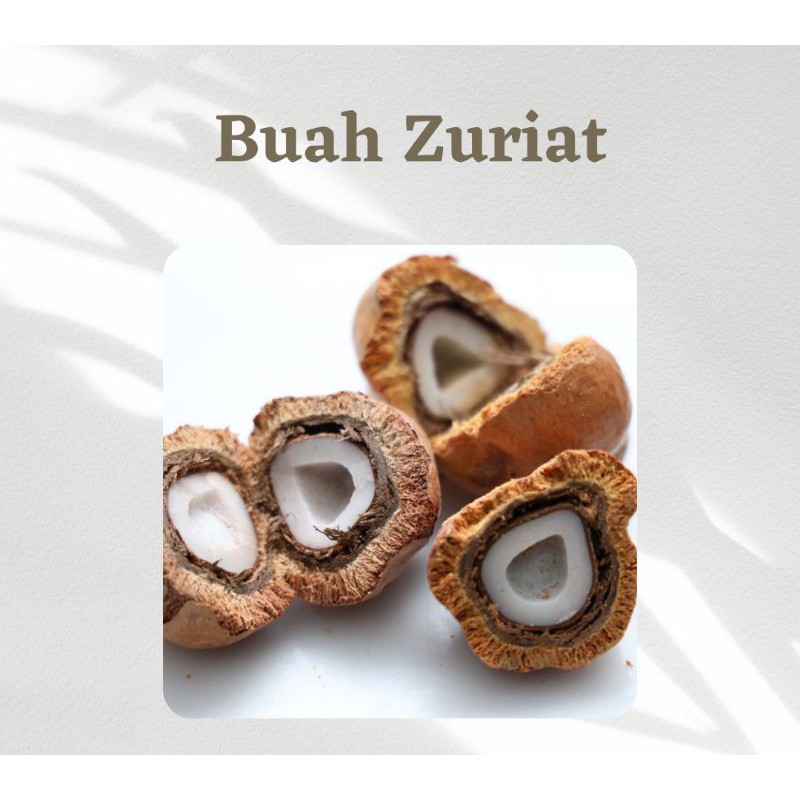 

Buah Zuriat Promil Murah FREE Testpack