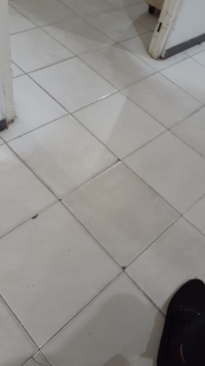 Paket Hemat Usaha Angkringan, Alat Seduh Kopi Manualbrew Coffee Maker