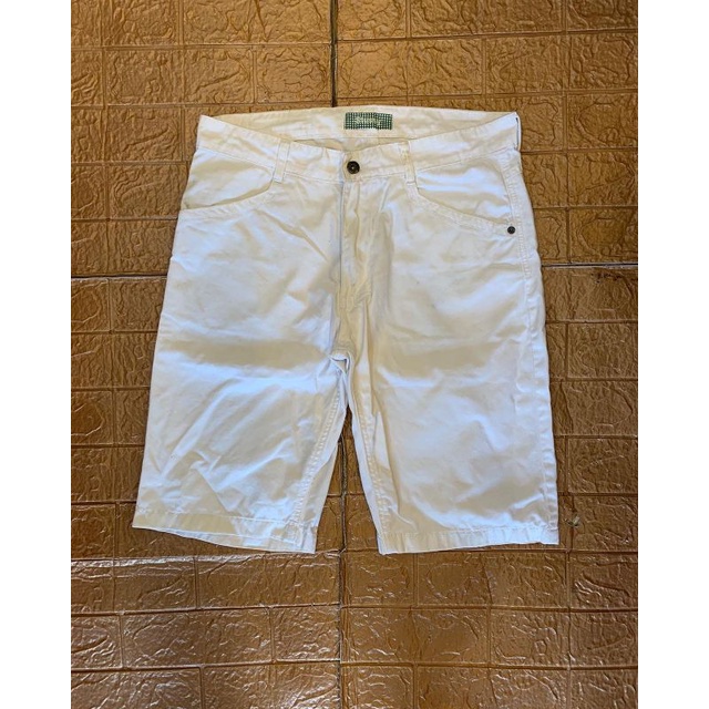 stussy short pant