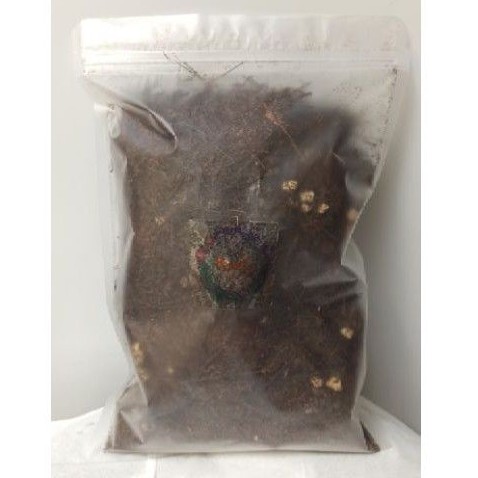 Media tanam dischidia