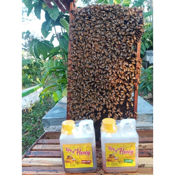 

Madu murni madu asli kualitas grade A 500 gram