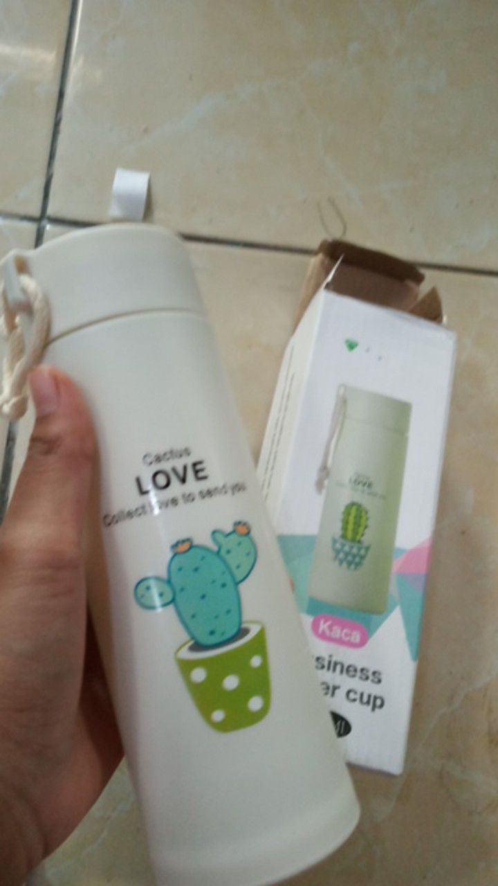 [ Pake Dus ] Botol Kaca Kaktus / Botol Kaktus Ada Dus
