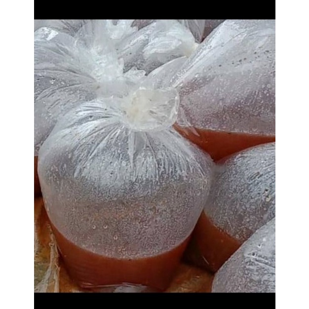 

kutu air 1 glas 30 rbu/pakan ikan hias