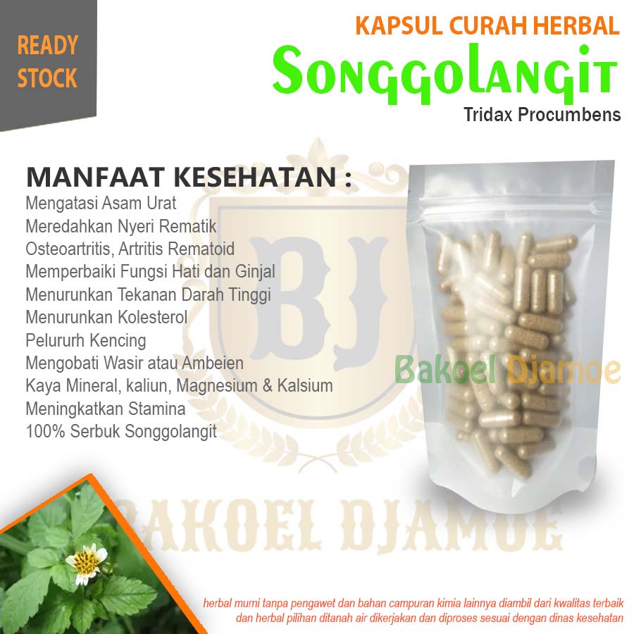 

Kapsul herbal curah songgolangit kapsul herbal asam urat nyeri sendi