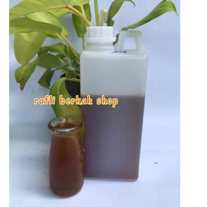 

DISKON BRANDS FESTIVAL Madu asli nektar bunga kelengkeng murni 1000gr