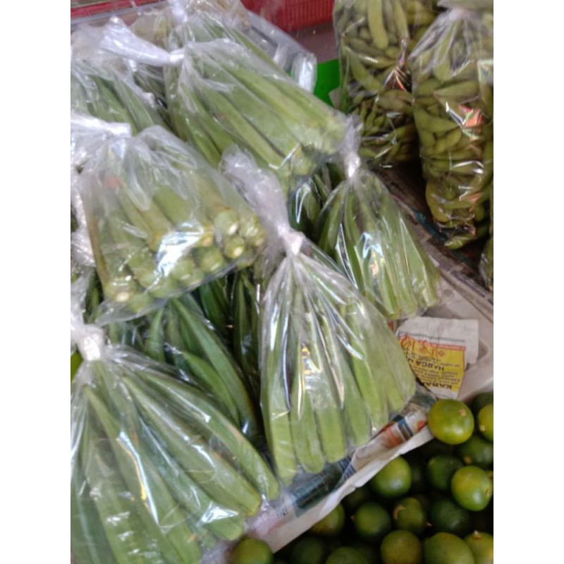 

OKRA/OKRA SEGAR/SAYUR OKRA