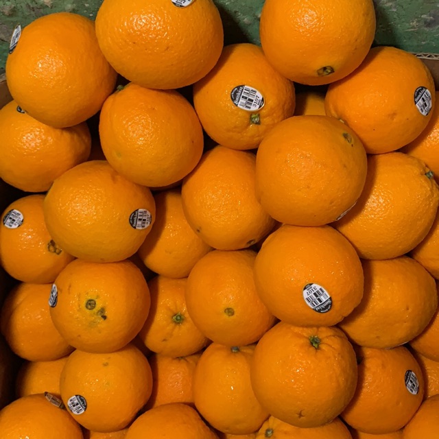 

Sunkis 1kg