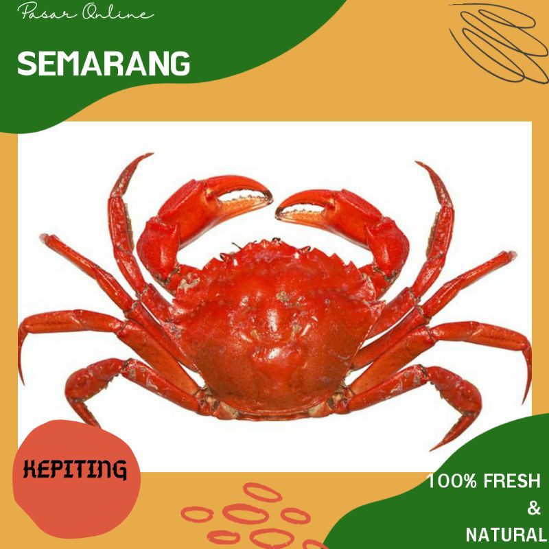 

Kepiting Segar / Fresh / Seafood Semarang / Sea Food Murah / Makan Enak / Makan Lagi Semarang / Cod