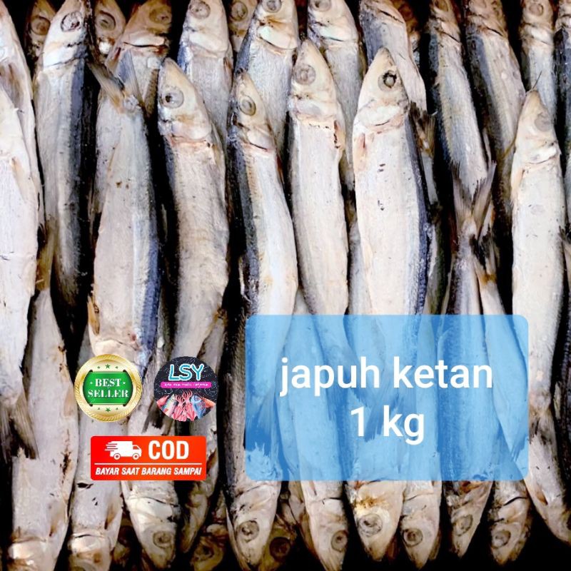 

ikan asin japuh ketan 1kg