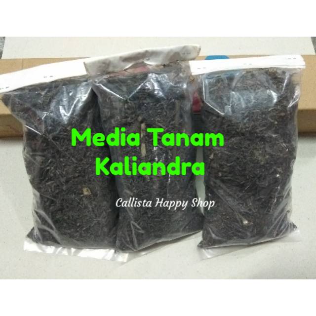 Media Tanam Kaliandra