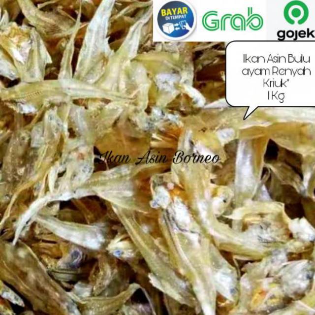 

Ikan Asin Bulu Ayam Super 1000 Gram