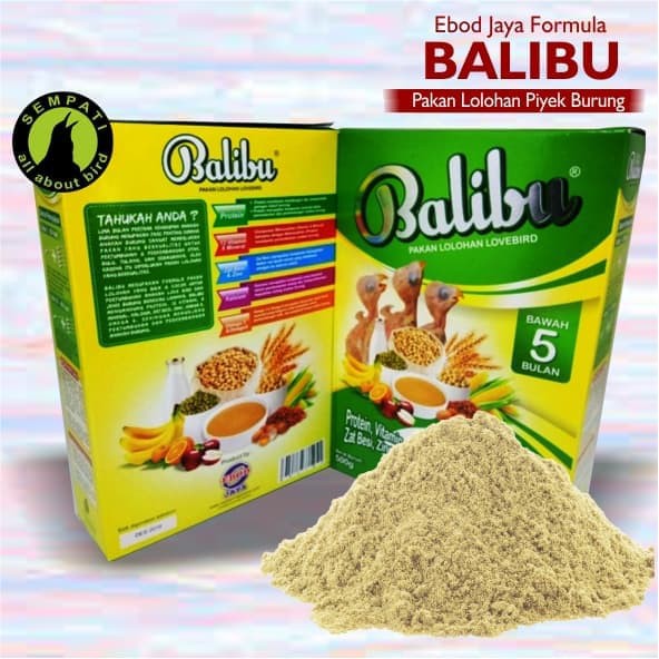 PAKAN BURUNG PIYIK ANAKAN BURUNG LOVEBIRD BALIBU EBOD JAYA