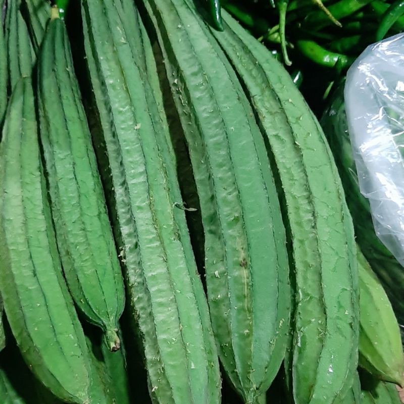 

Sayur Oyong 1kg (1000g)