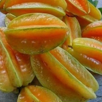 

Buah belimbing madu fres 1 kg