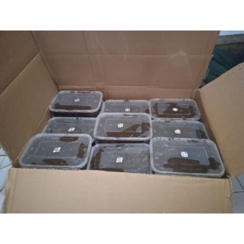 bendingan jailangkung