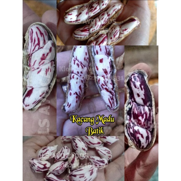 

Kacang Madu Batik