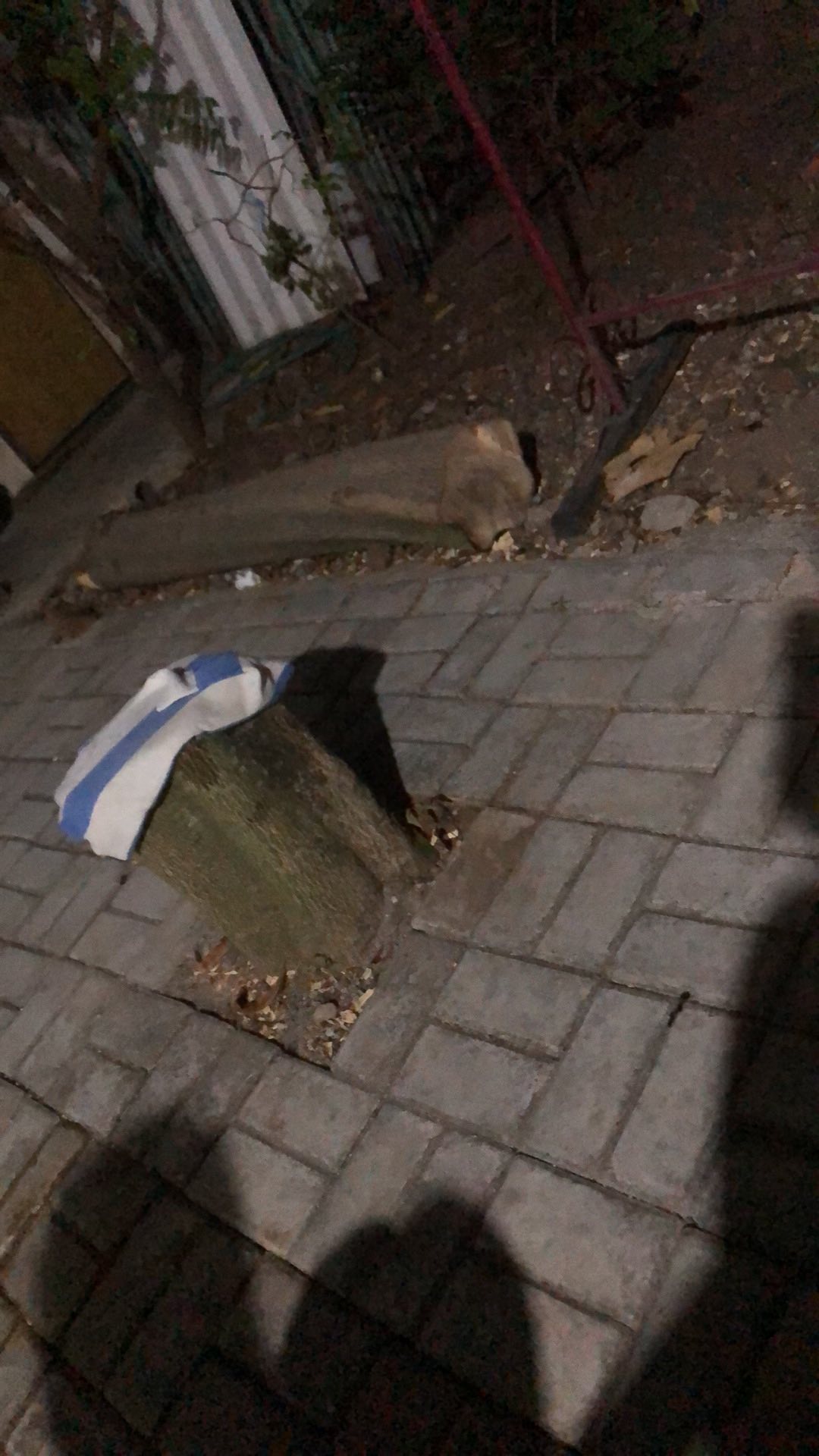 Batik Couple | Batik Couple Modern | Couple Batik | Baju Batik Couple | Batik Tunik Couple