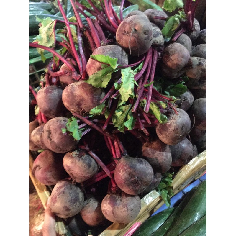 

Buah / Sayur Bit 1kg