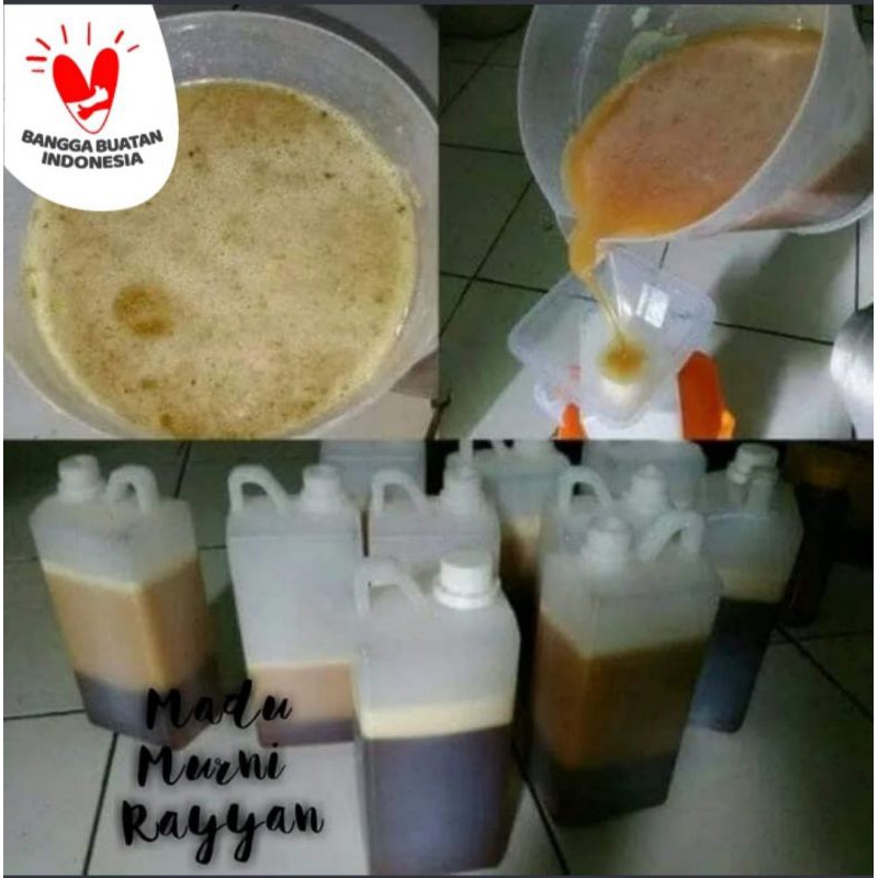

(ORI) madu hutan sialang riau
