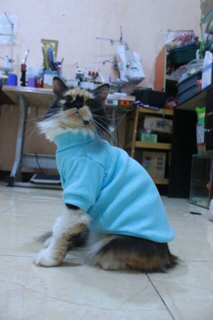 Kaos ala korea biru laut lucu untuk kucing dan anjing / baju kucing murah size S M L XL