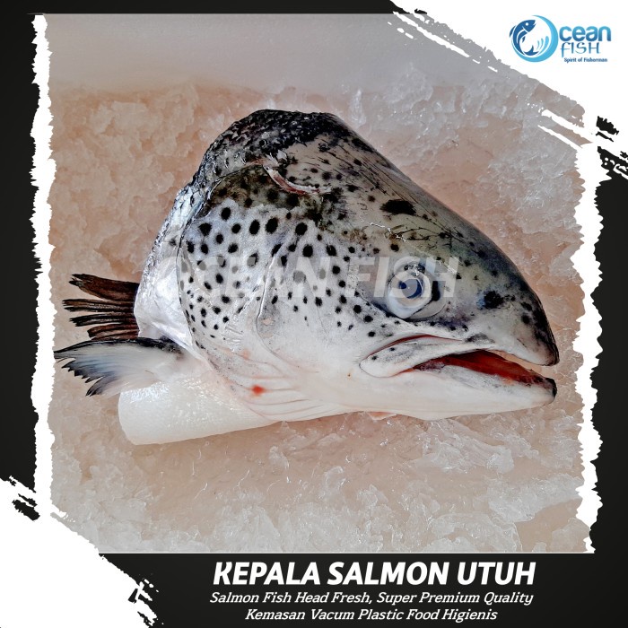 

Kepala Salmon Utuh (1 PCS) Segar - Kepala Salmon Bersih Fresh Murah -Kepala Salmon Norway Utuh Fresh Bersih - Kepala Salmon Segar Utuh - Kepala Ikan Salmon Segar Bersih