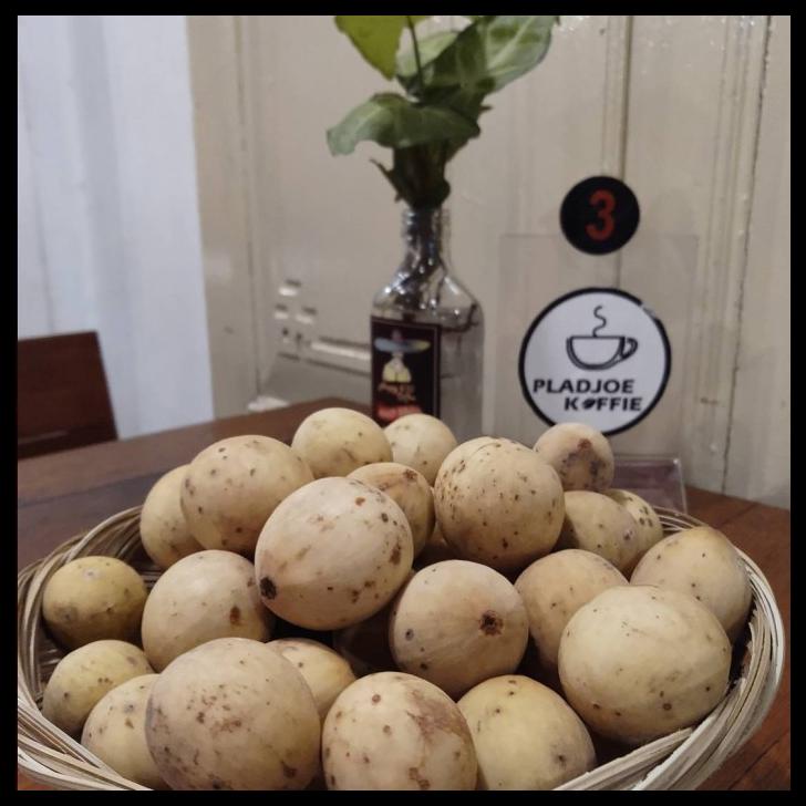 

Buah Duku Super Manis Dan Segar