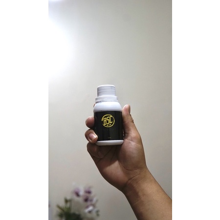 

bsc paint