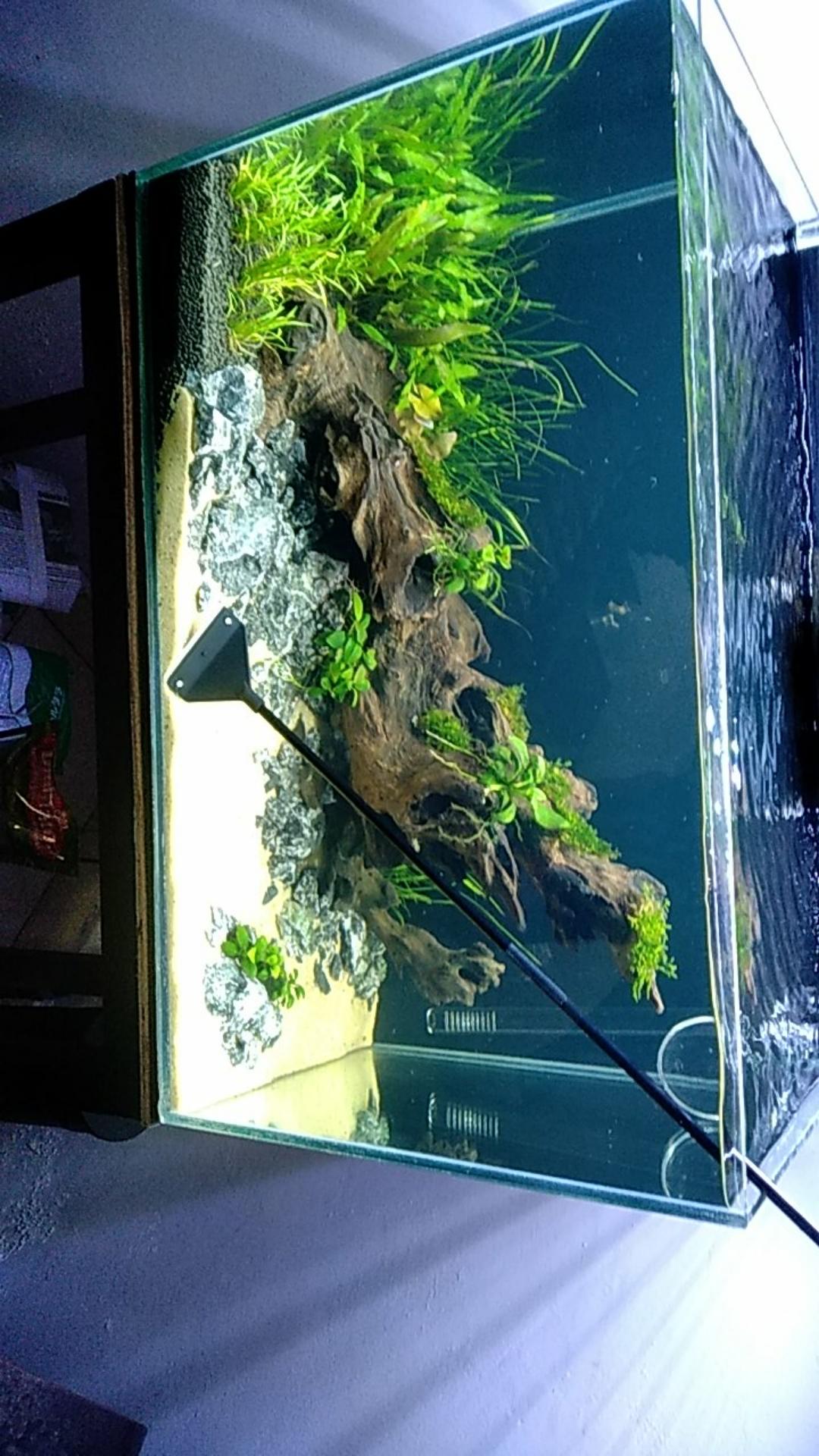 Scraper Algae/algae Ukuran 90cm Untuk Menjaga Tangan Kering