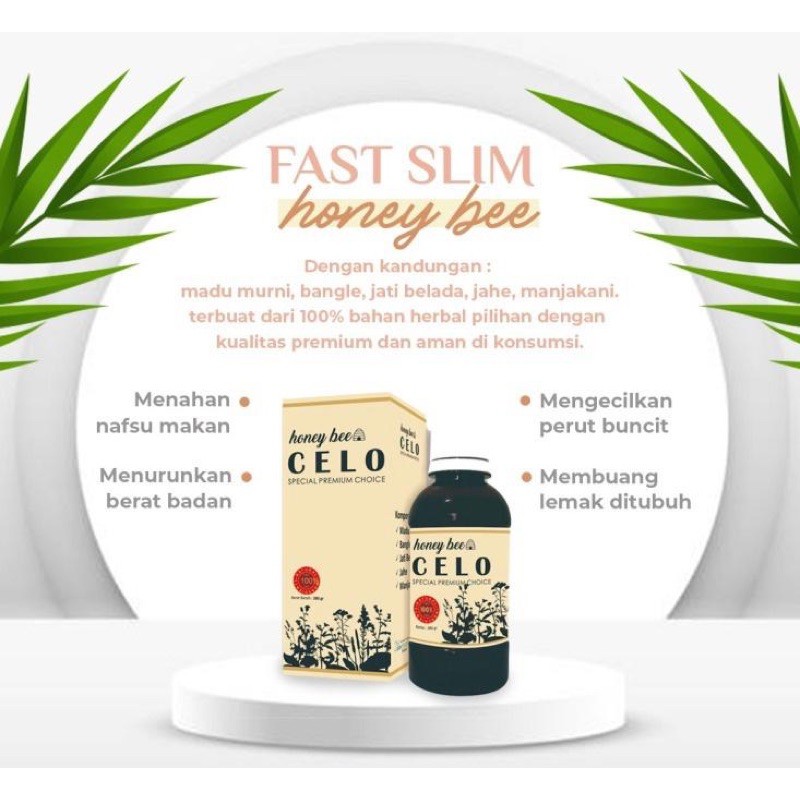 CELO FAST SLIM HONEY BEE