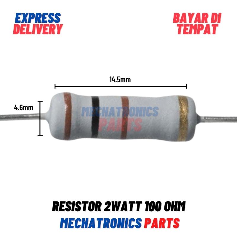 [PAS-9066] RESISTOR 2WATT 100OHM