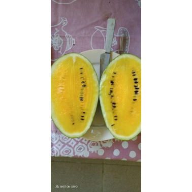 

BUAH SEMANGKA INUL SEGAR