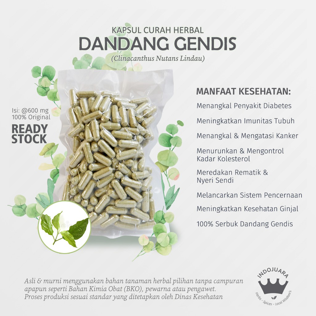 

DANDANG GENDIS 100 Kapsul Curah Herbal Rematik Kencing Batu Diare Diabetes Kanker Kolesterol 600mg