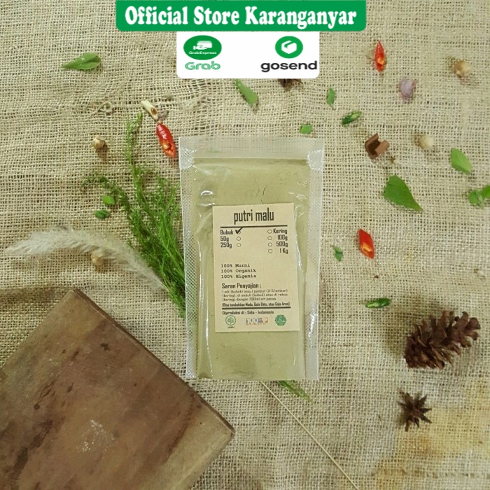 

BUBUK PUTRI PUTERI MALU 1 KG - Mimosa Pudica - ASLI - KUALITAS PREMIUM - ORGANIK