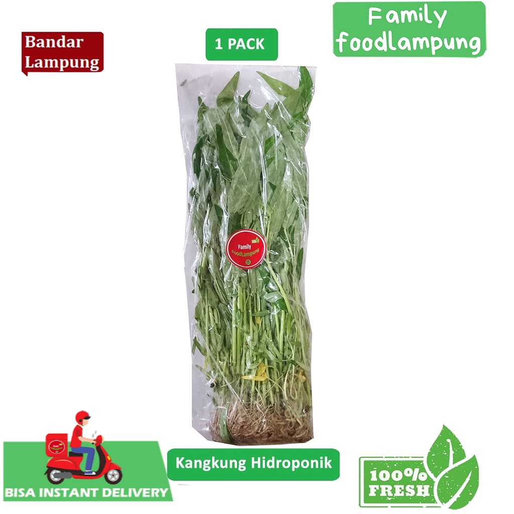 

Kangkung Hidroponik 1 Pack Sayuran Segar Family Food Lampung