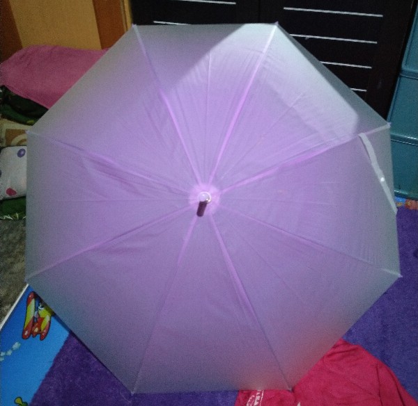 Payung Transparan 627