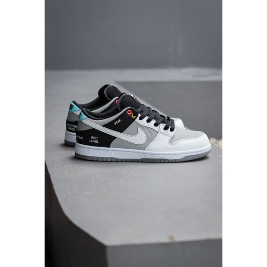 Nike sb dunk low vx1000 camcorder