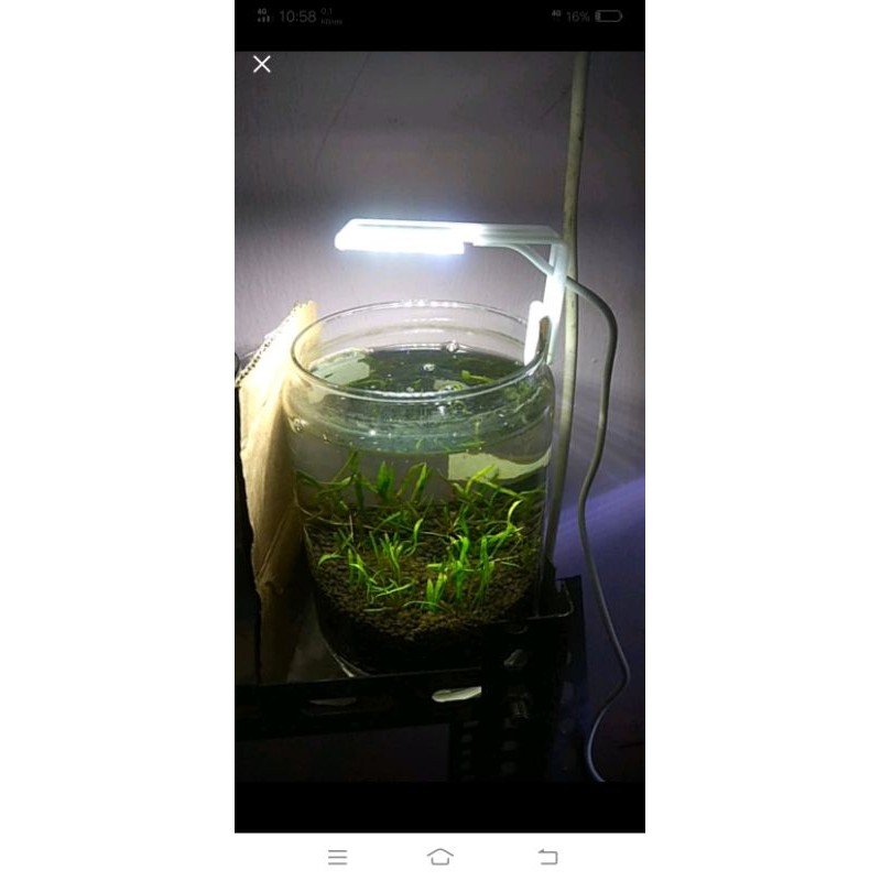 lampu soliter/akuarium kecil