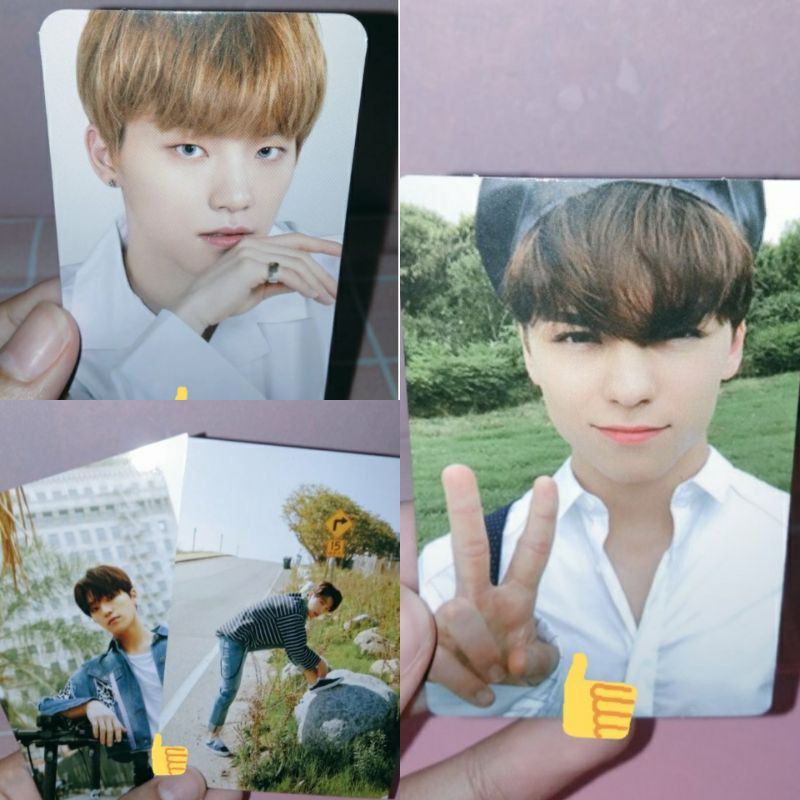 Seventeen Photocard Dino Ao+