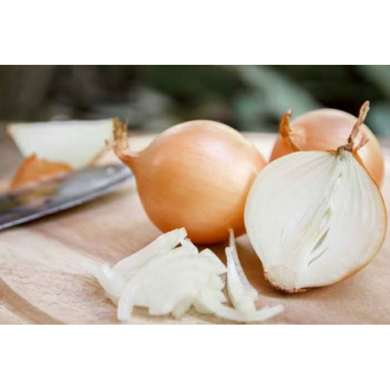 

Bawang Bombay 500gram