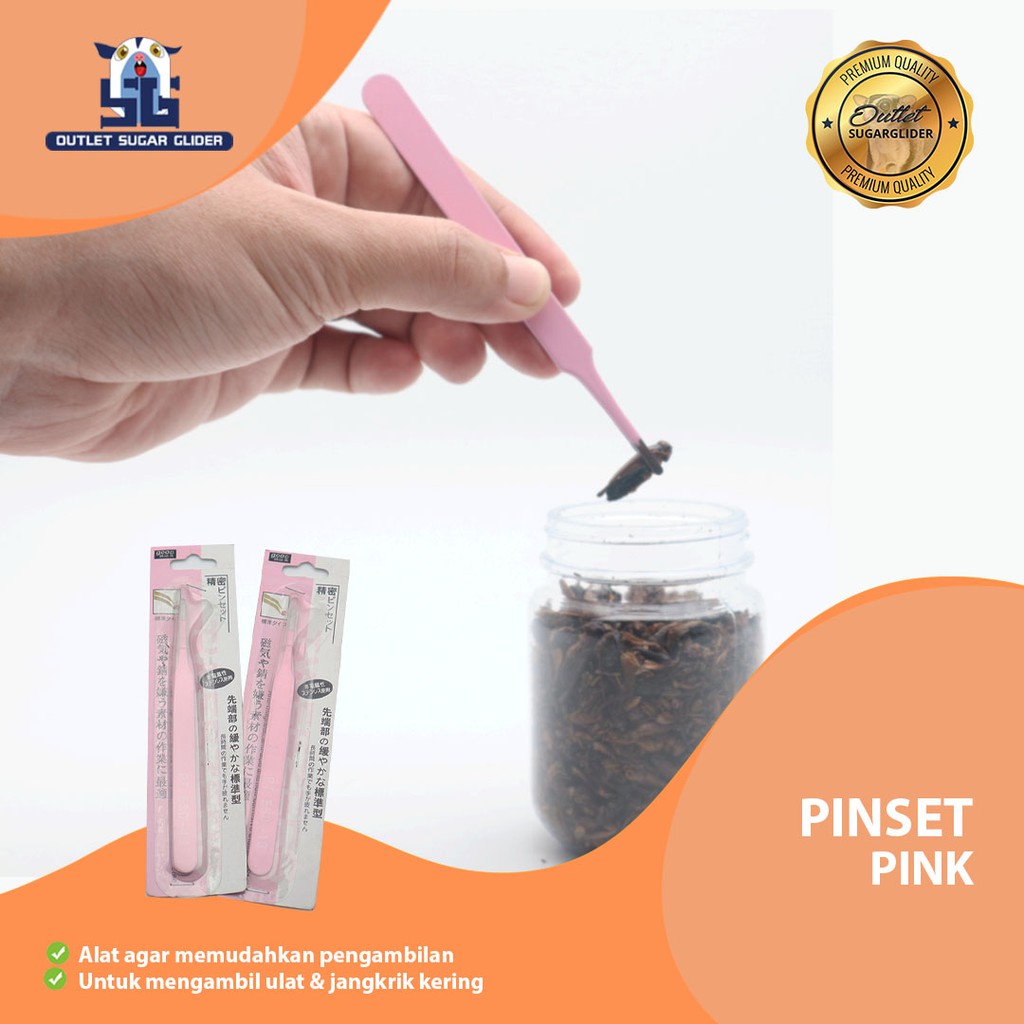 PINSET FEEDING PINK ALAT MENGAMBIL SERANGGA