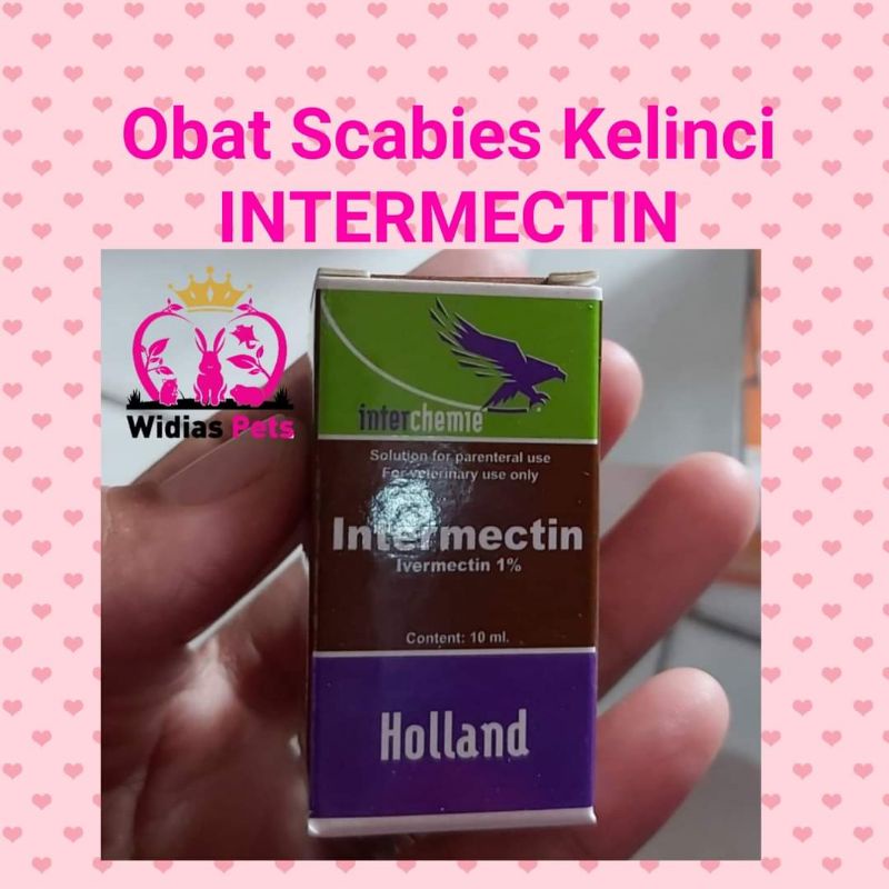 intermectin 10ml aobat scabies kelinci suntik