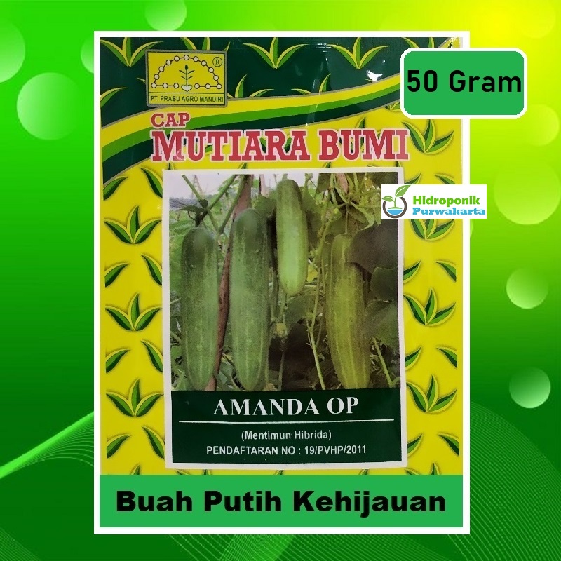 Benih Timun Mentimun Rujak 50 Gram Amanda Cap Mutiara Bumi Putih Kehijauan
