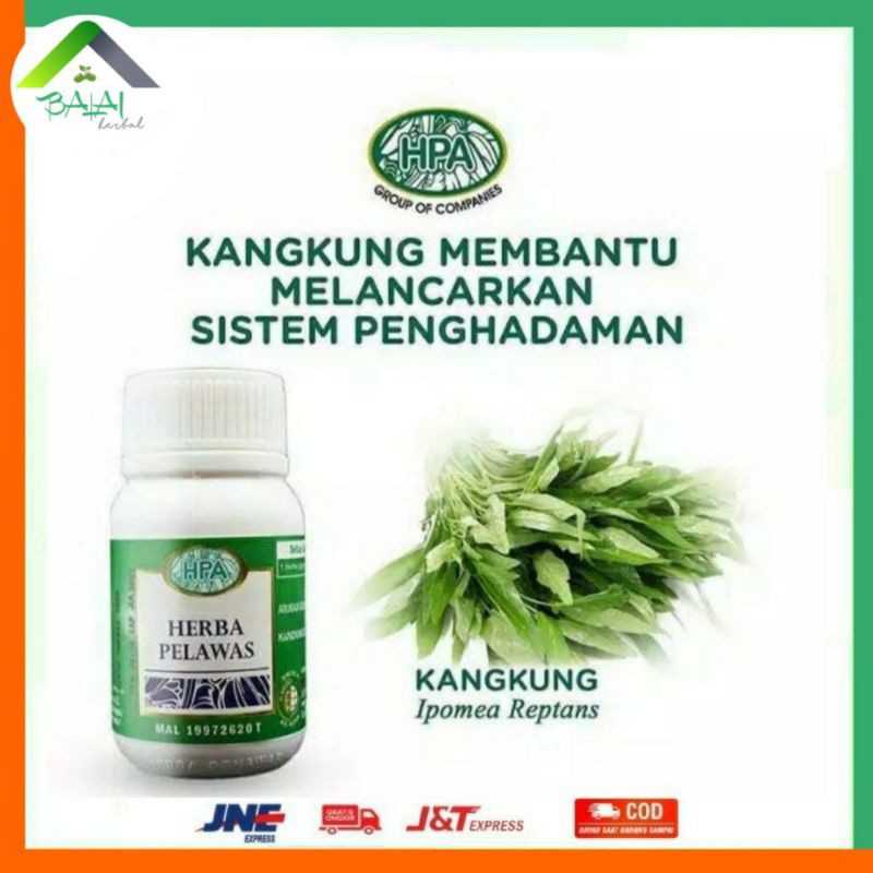 HERBA PELAWAS HPA Internasional Pak Haji