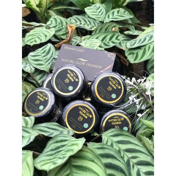 NATURE GLOW PREMIUM CREAM DAY&NIGHT ORIGINAL,BPOM,HALAL