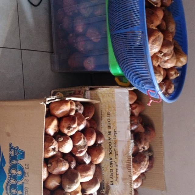 

Buah duriat / buah keturunan 500gr